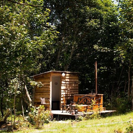 Cabanas Trapen Puerto Montt Bagian luar foto