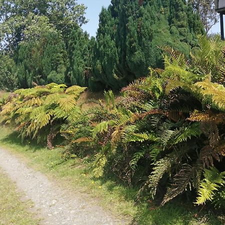 Cabanas Trapen Puerto Montt Bagian luar foto