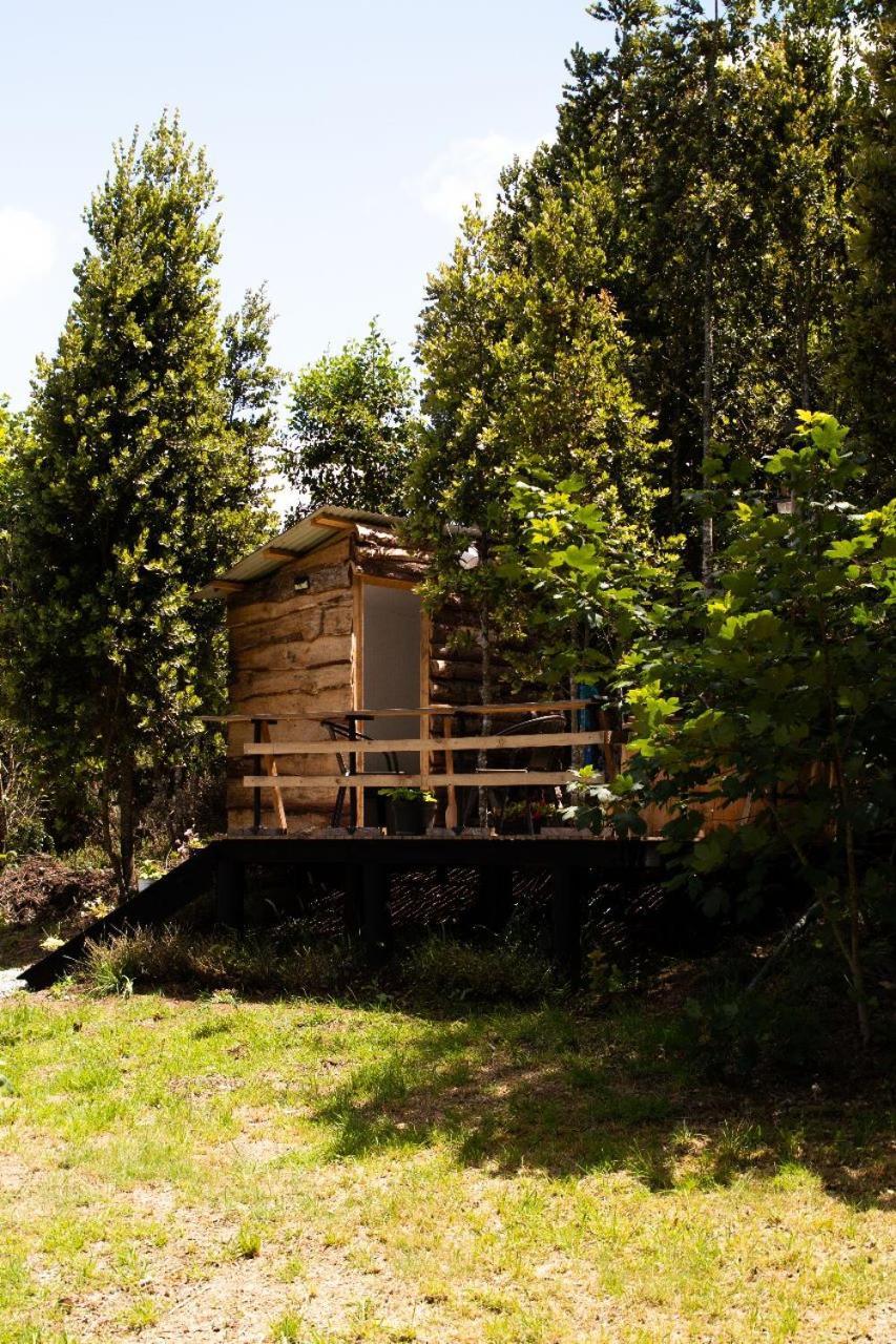 Cabanas Trapen Puerto Montt Bagian luar foto