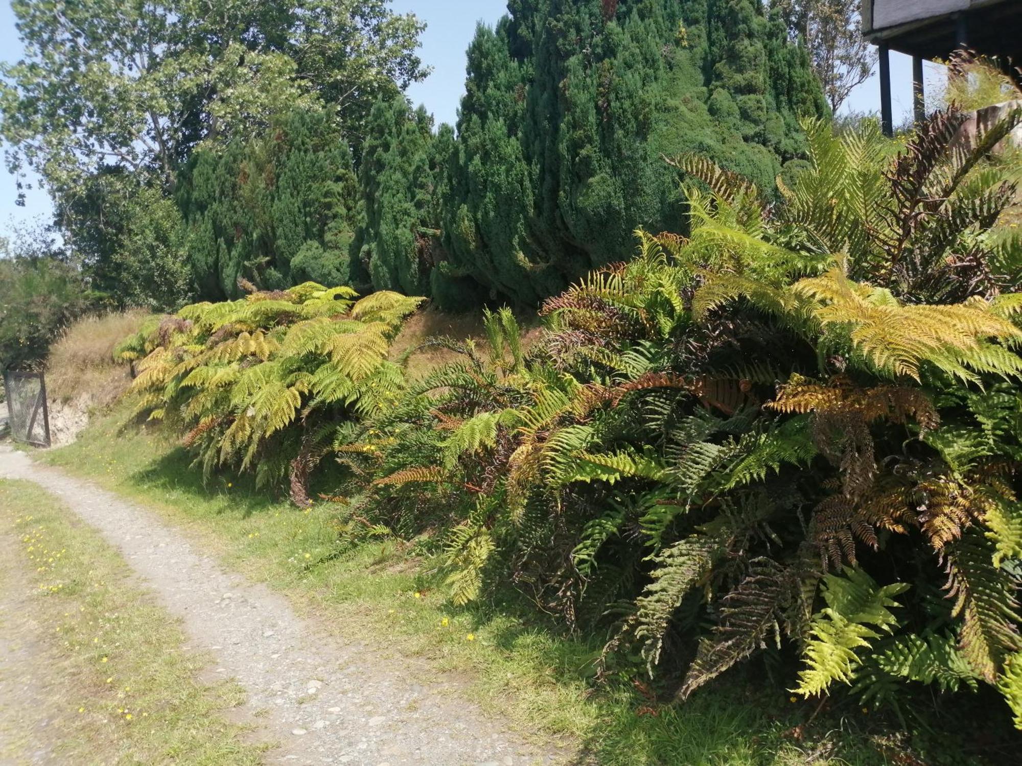 Cabanas Trapen Puerto Montt Bagian luar foto